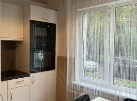 Cat Garden Classic Apartments Riga