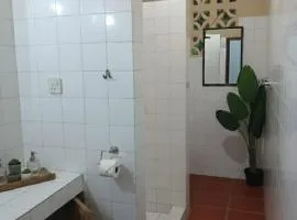 Palm park 2