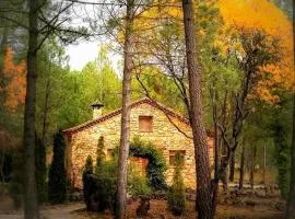 Casas rurales FUENTE EL OJICO