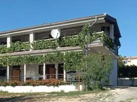 1 Bedroom Amazing Apartment In Maslenica