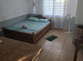 Diani Cozy Garden Studio