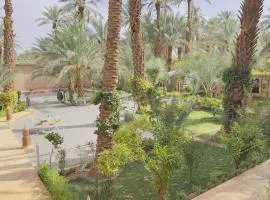 Nana Diafa - Luxury Stay in Zagora