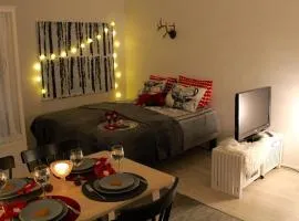 A cozy Scandinavian condo in the city center