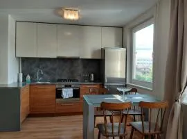Two-Bedroom Flat Close to Downtown