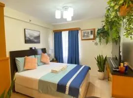 Executive Studio Condo Unit 2 at Marina Spatial