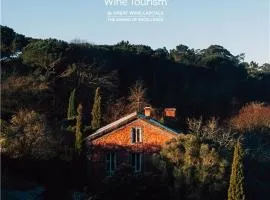 Wine Tourism - Quinta do Ameal