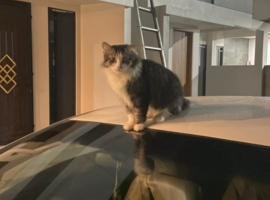 Qhonkregency, hotel di Ciamis