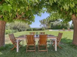 Beautiful Provencal house with swimming pool