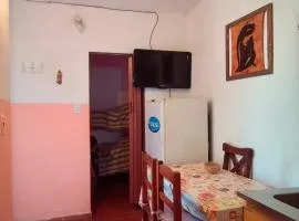 El bosquesito
