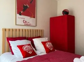 AU CHOLETAIS - HYPER CENTRE - APPARTEMENT T2 de 50m2 - DECO ORIGINALE - 20 MN PARC DU PUY DUFOU
