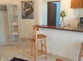 The Makuti breeze house