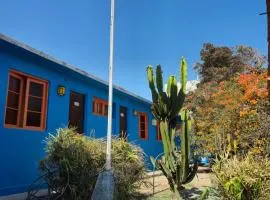 Illariy Wasi Hostal