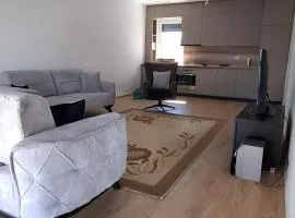 Modern apartament the center park in Gjakova