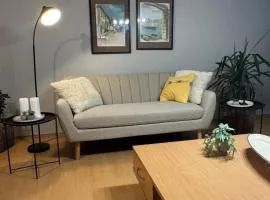 Cela kuca pored reke centar- privatan parking , dvorište- Jagodina