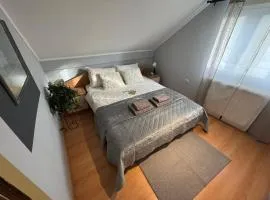 Moderan apartman u centru- dve spavaće sobe, parking u okviru dvorista