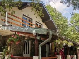 Apartmani Jovca
