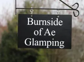 Burnside of Ae Glamping Shepherd's Hut