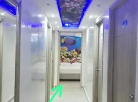 suites lady