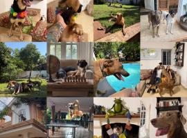 Asuncion में La Casita Del Viajero, हॉस्टल