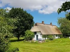 Thatched cottage in the meadow