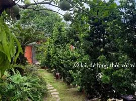 Bao Ong Thien Retreat - Khu Nghỉ Dưỡng Bào Ông Thiền
