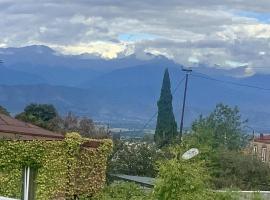 Guest House -Lorenzo-, hotel en Telavi