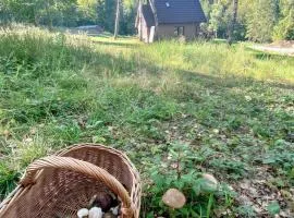 Domek w lesie DiABELSKi KOCiOŁEK