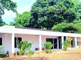 CALABAZO Casa MonoCai