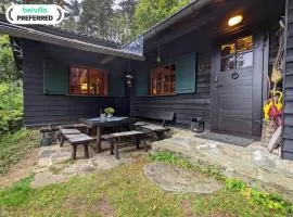 Holiday Home in Edlitz near Ski Slopes