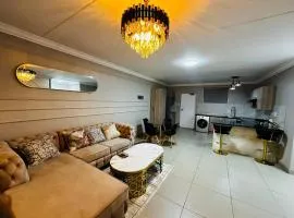 suarez homes