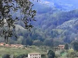 Villa con parco e piscina-Camaiore