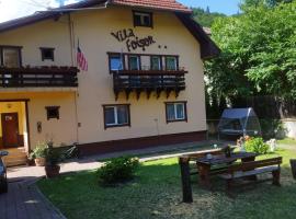 Foisor Vila, haustierfreundliches Hotel in Buşteni