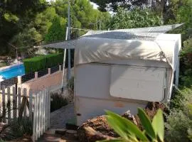 CaravanaStar