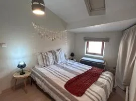 Terre lyonnaise à l Arbresle