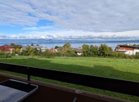 Le Panoramic Evian，位于埃维昂莱班的公寓