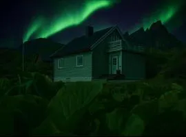 The Green House - Ballstad