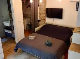 Penthouse in central Milan