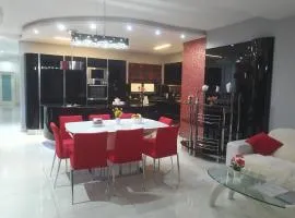 Modern, stylish & comfortable 3 bedroom apartment with jacuzzi and private yard with barbeque