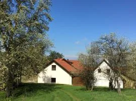 Ferienhaus Hochbrand