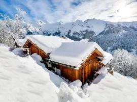 Chalet 4****, 12 personnes, spa panoramique - FR-1-304-302