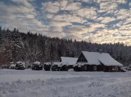 Nad Mikowym Potokiem - wydzielona część drewnianego domu z osobnym wejściem i ogrodem