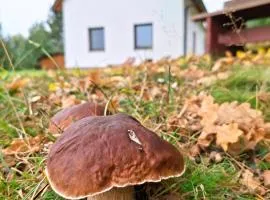 Klid na kraji lesa v České Kanadě - celý dům