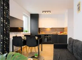 Apartament Wiedeńska 15B PARKING bezpłatny Faktura VAT K-S SSE