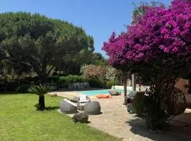 Casa Flamingo