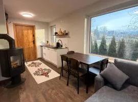 Piękne apartamenty z widokiem na góry ,Sauna, kominek, darmowy parking , 5km do Zakopanego