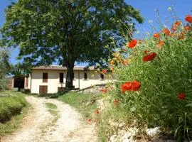La Perticara Agriturismo