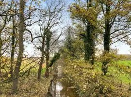 Pine Tree Cottage - Uk45925