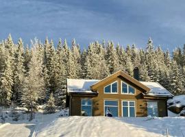 Family Cabin With Views In Lygnalia, hotel en Jaren