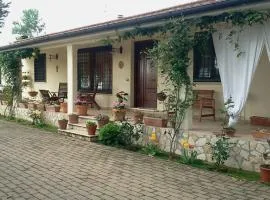 B&B RoLu