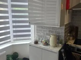 Grand Studio Apartments in Feltham